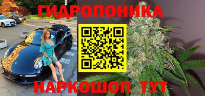 дживик Тверь