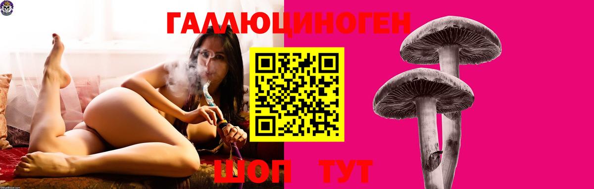 Псилоцибиновые грибы Magic Shrooms  Вход с VPN  Бердск 